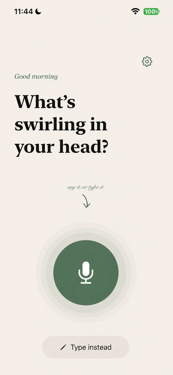 Offload brain dump input screen